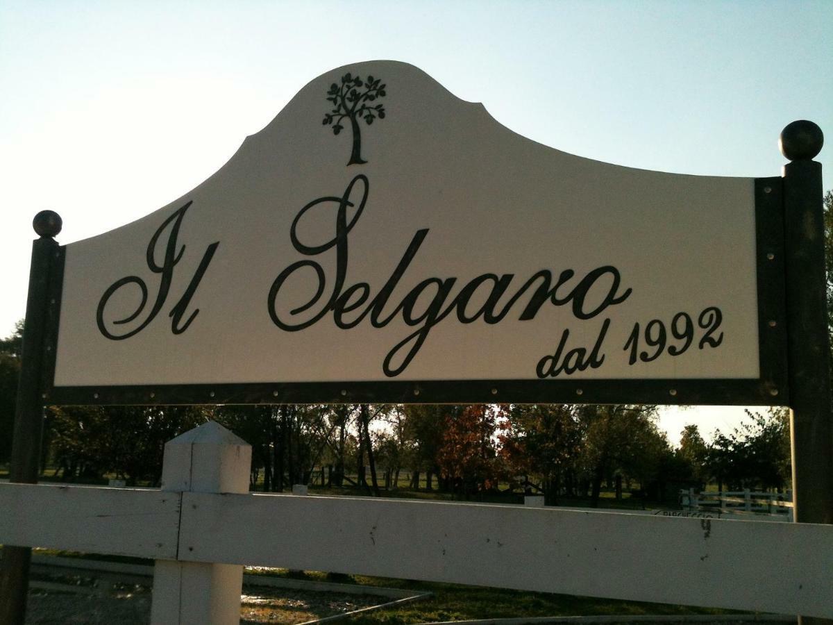 Готель Il Selgaro Agriturismo Zelarino Екстер'єр фото